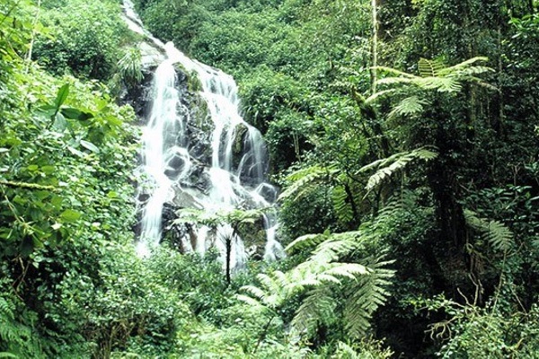 voyage afrique de l'ouest