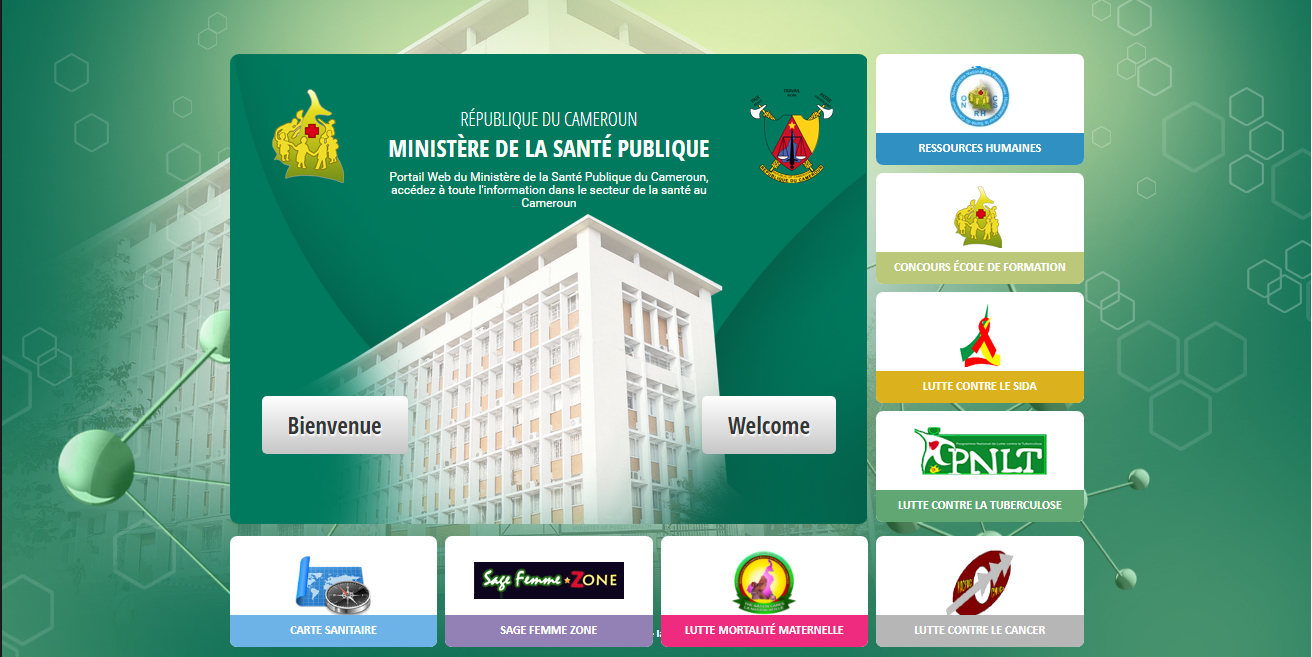 Cameroun Digital Pr sence Du Cameroun Sur Internet
