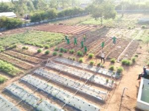 image les jardins chez marlène